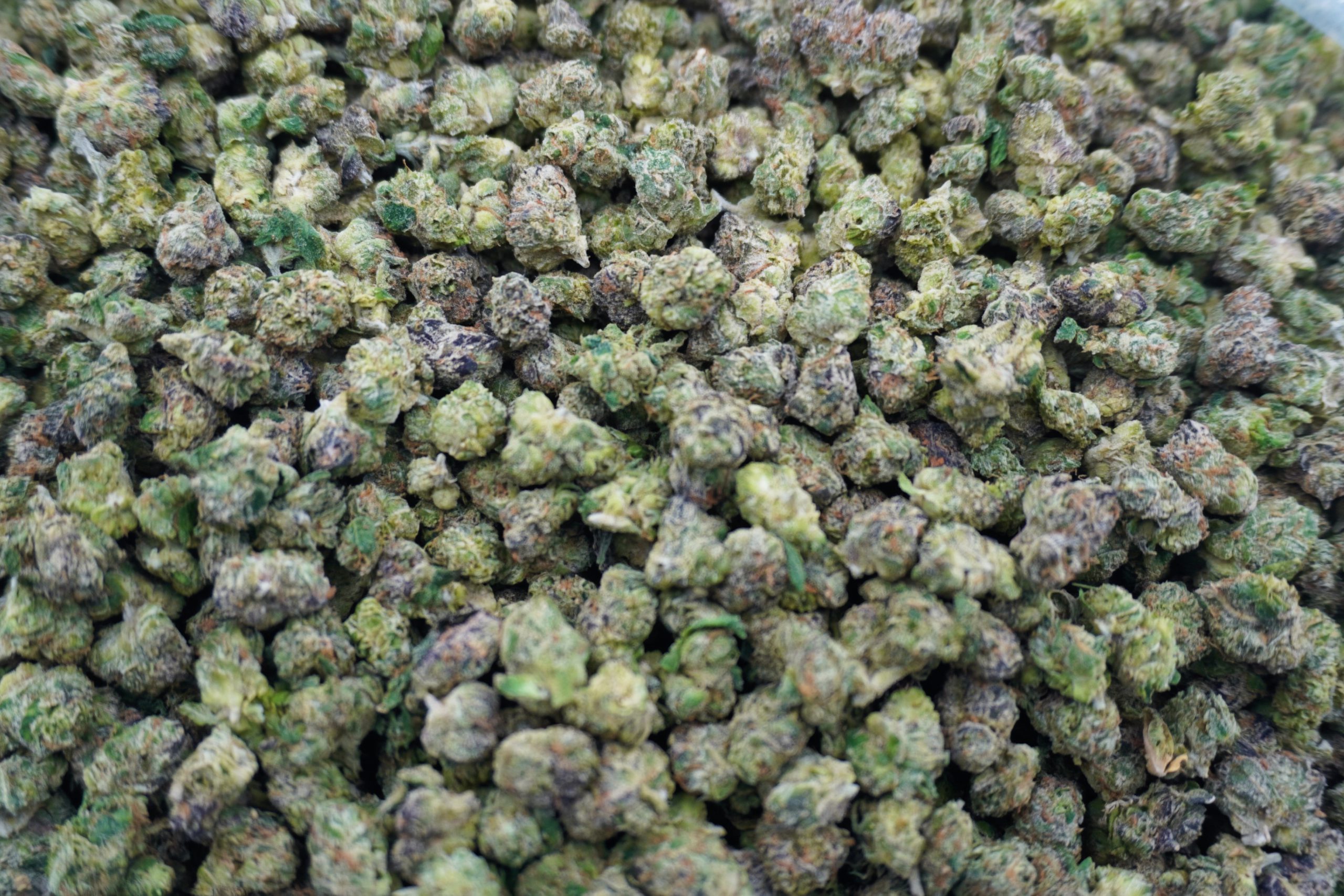 Grape Cherry Popperz Mediums
