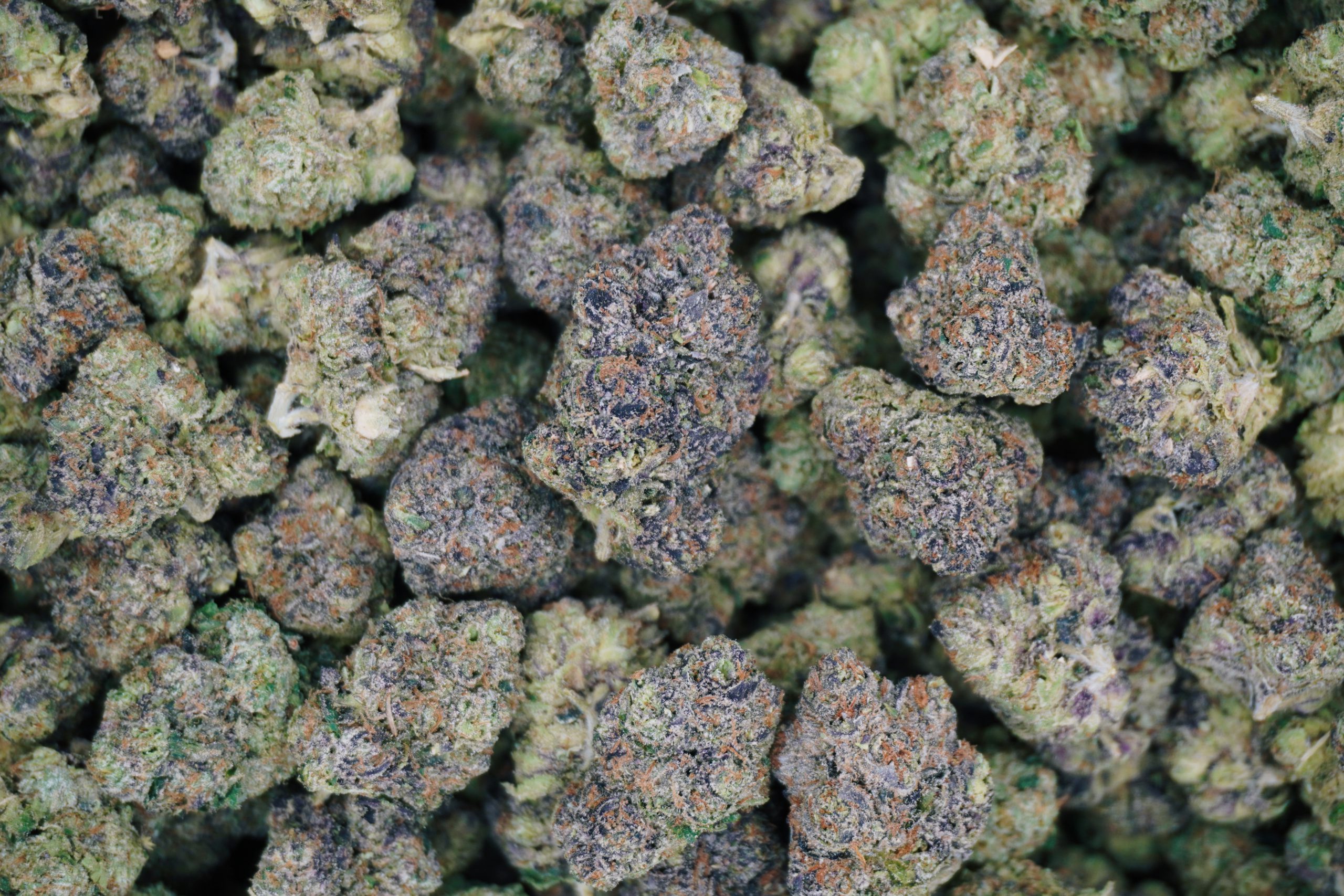 Acai Jelly - Image 2
