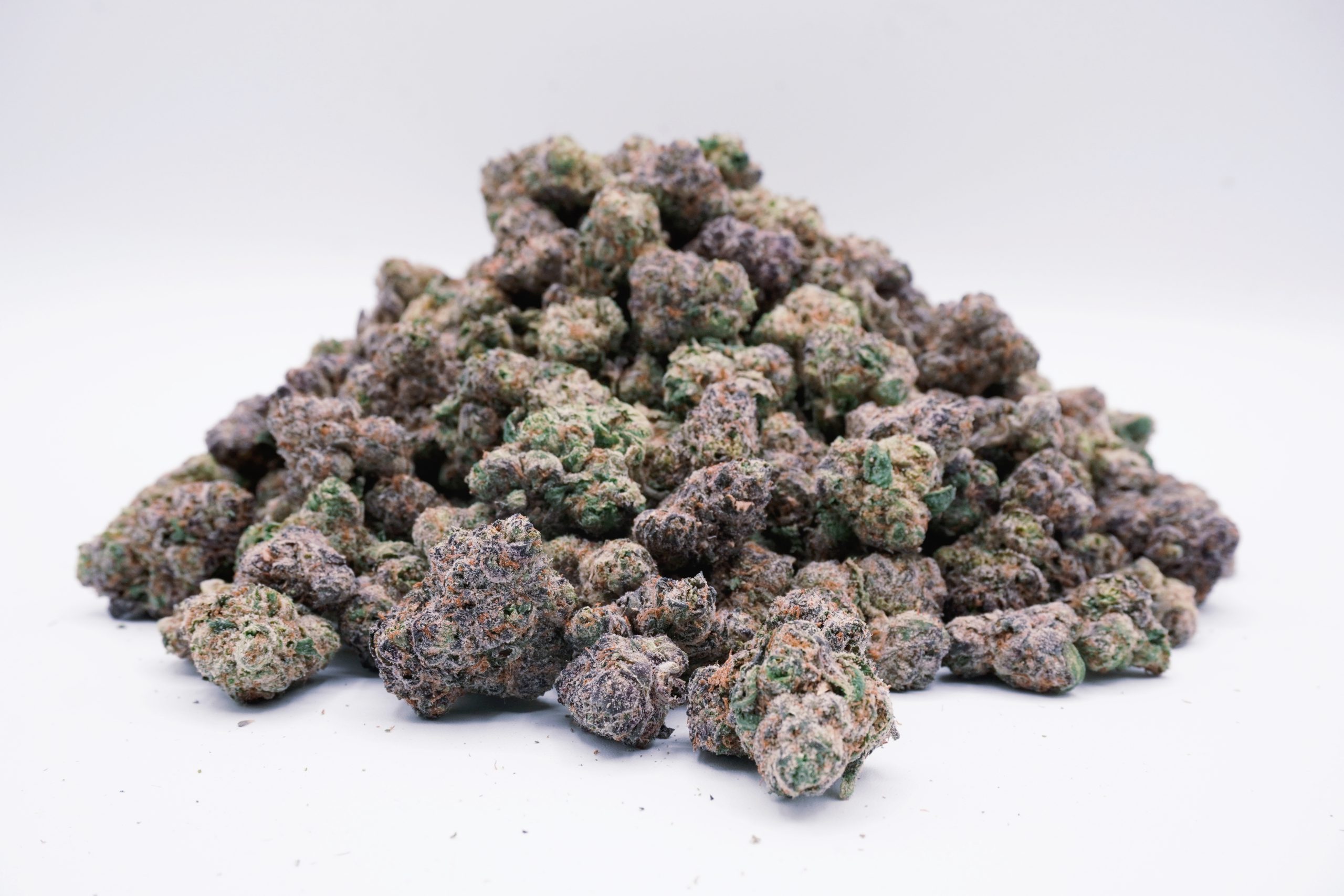 Electric Mimosa - Image 2