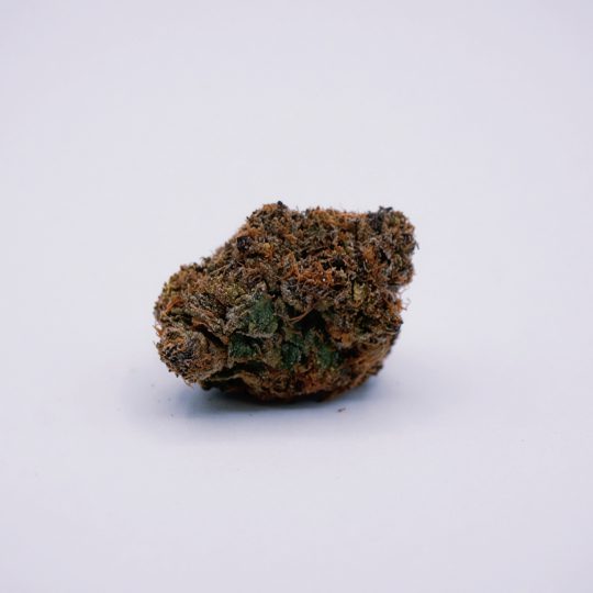Fruity Fuel