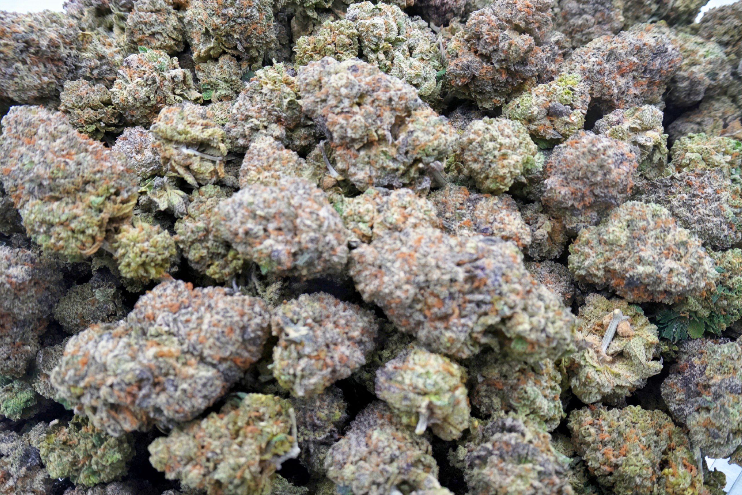Hash Burger 3
