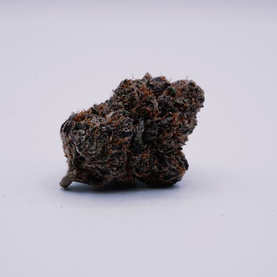 Midnight Trainwreck