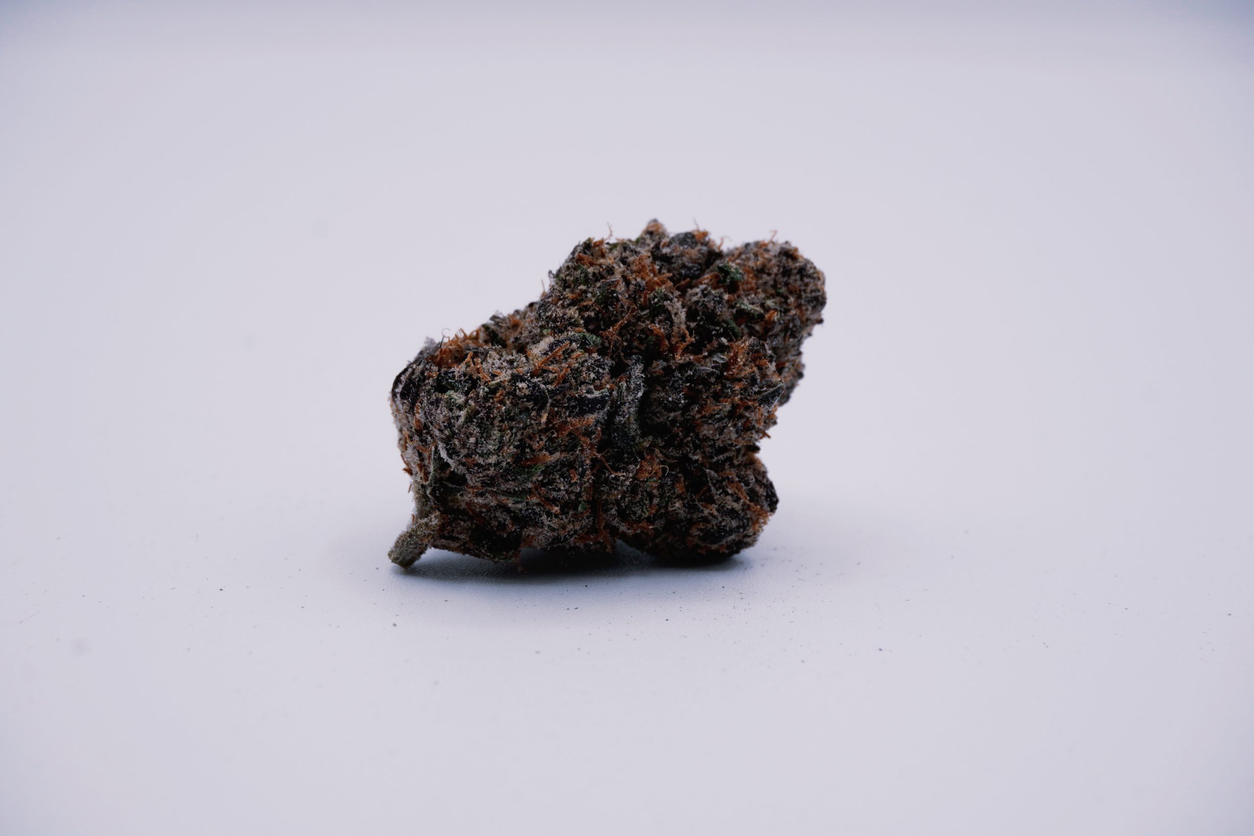 Midnight Trainwreck