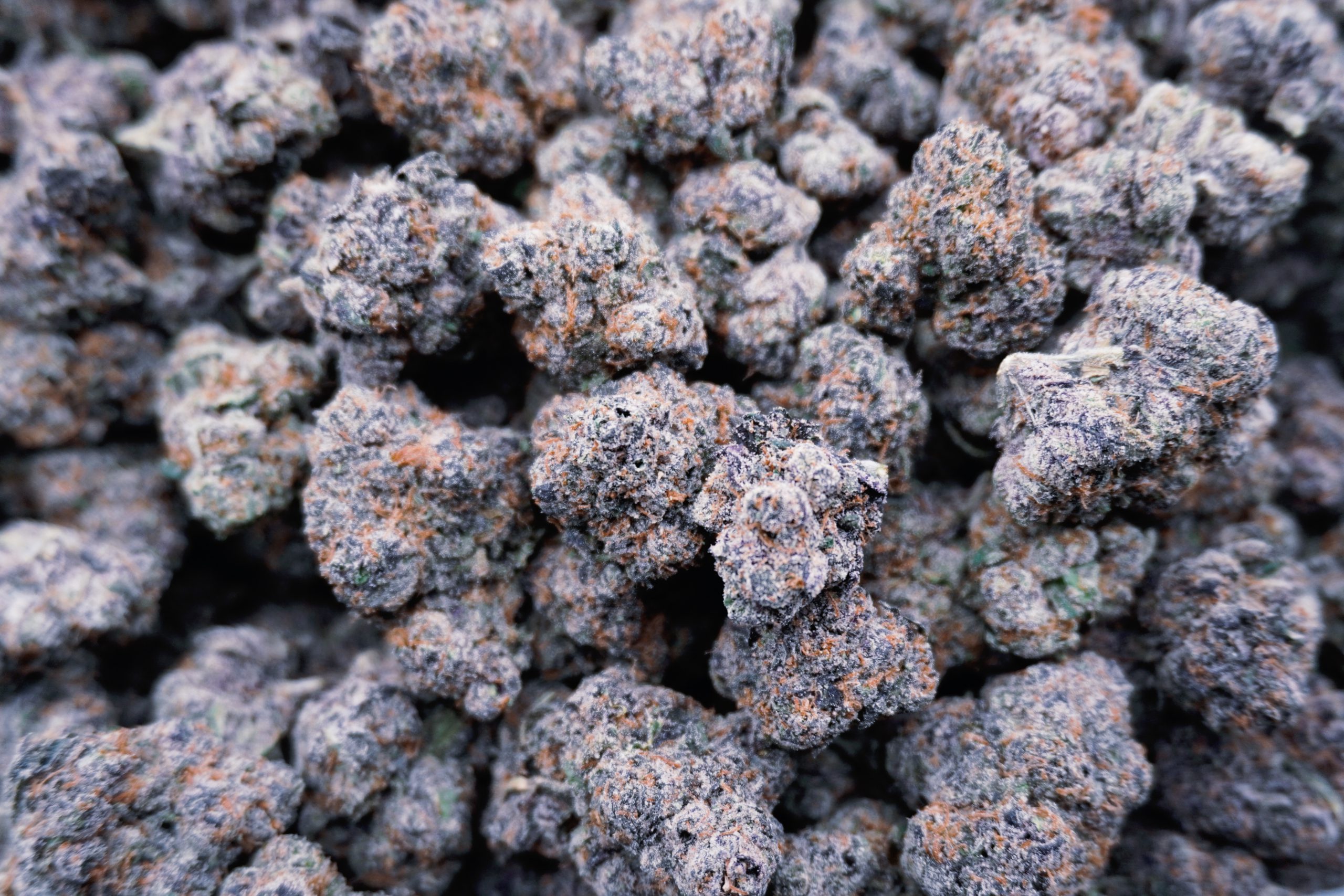 Midnight Trainwreck - Image 3